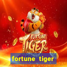 fortune tiger cassino pix